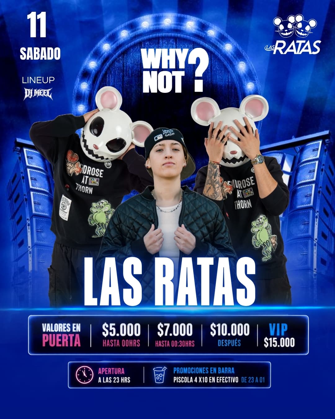 las ratas en WhyNot? image}